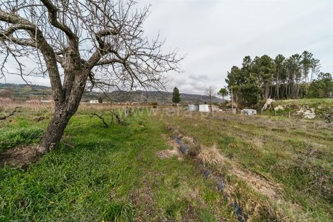 Helårsgrund i Covilha, Castelo Branco, Covilha - € 103.500 | Ref: 111250007 - foto 10