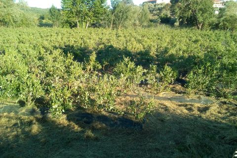 Helårsgrund i Covilha, Castelo Branco, Covilha - € 103.500 | Ref: 111250007 - foto 18