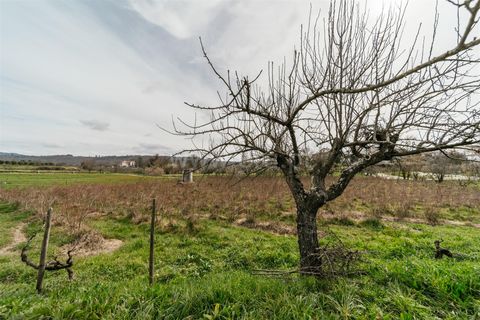 Helårsgrund i Covilha, Castelo Branco, Covilha - € 103.500 | Ref: 111250007 - foto 11