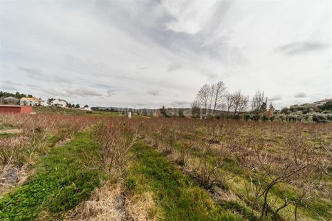 Helårsgrund i Covilha, Castelo Branco, Covilha - € 103.500 | Ref: 111250007 - foto 12
