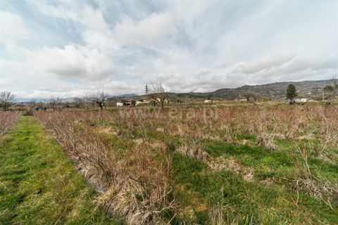 Helårsgrund i Covilha, Castelo Branco, Covilha - € 103.500 | Ref: 111250007 - foto 15