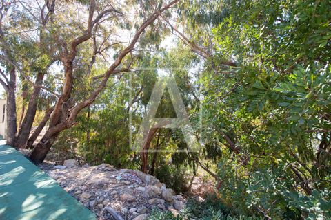 Grond in Altea, Alicante, Altea - € 455.000 | Ref: PAT0008 - foto 7