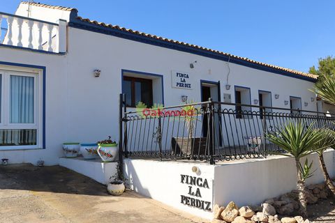 Villa a Pinar De Campoverde, Alicante, Pinar De Campoverde - € 335.000 | Ref: OKP2112 - foto 41