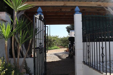 Villa a Pinar De Campoverde, Alicante, Pinar De Campoverde - € 335.000 | Ref: OKP2112 - foto 38