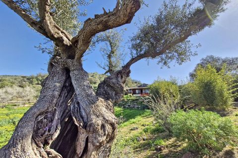 Cortijo i Coin, Malaga, Coin - € 465.000 | Ref: R4964077 - foto 19