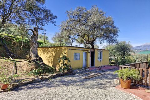 Cortijo i Coin, Malaga, Coin - € 465.000 | Ref: R4964077 - foto 26