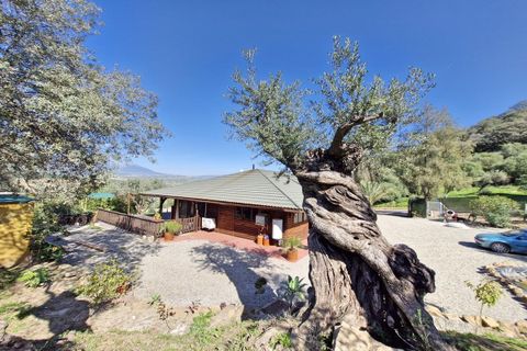 Cortijo i Coin, Malaga, Coin - € 465.000 | Ref: R4964077 - foto 27