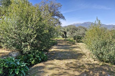 Cortijo i Coin, Malaga, Coin - € 465.000 | Ref: R4964077 - foto 33