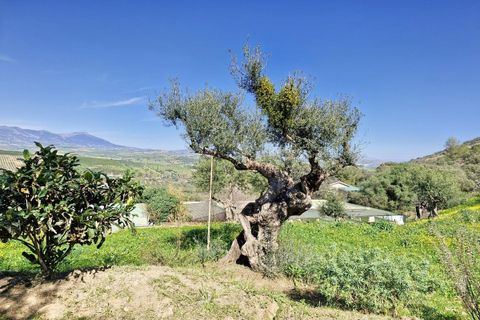 Cortijo i Coin, Malaga, Coin - € 465.000 | Ref: R4964077 - foto 34
