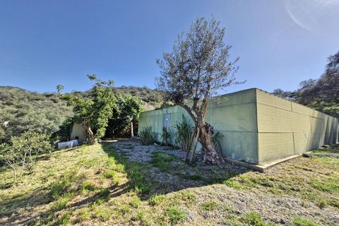 Cortijo i Coin, Malaga, Coin - € 465.000 | Ref: R4964077 - foto 36