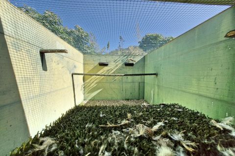 Cortijo i Coin, Malaga, Coin - € 465.000 | Ref: R4964077 - foto 42