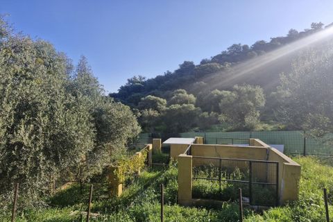 Cortijo i Coin, Malaga, Coin - € 465.000 | Ref: R4964077 - foto 43