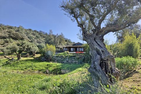 Cortijo i Coin, Malaga, Coin - € 465.000 | Ref: R4964077 - foto 45