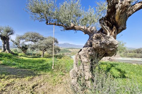 Cortijo i Coin, Malaga, Coin - € 465.000 | Ref: R4964077 - foto 47