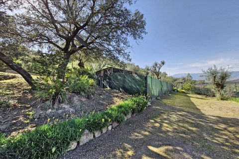 Cortijo i Coin, Malaga, Coin - € 465.000 | Ref: R4964077 - foto 48