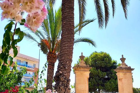 Villa a Mutxamel, Alicante, Mutxamel - € 795.000 | Ref: AB00120V6 - foto 5