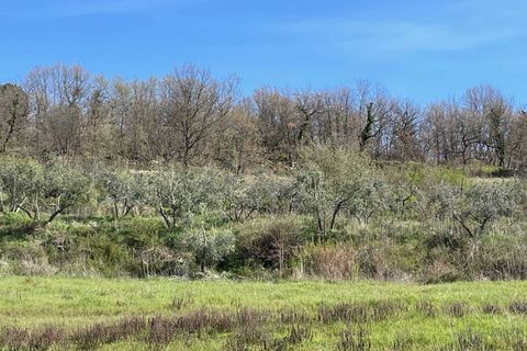Villa i Parrano, Terni, Parrano - € 75.000 | Ref: OR6209M-459493 - foto 11