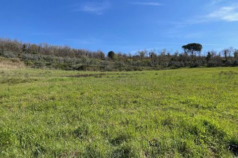 Villa i Parrano, Terni, Parrano - € 75.000 | Ref: OR6209M-459493 - foto 13