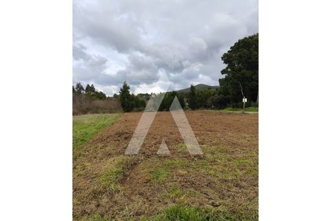 Helårsgrund i Caminha, Viana do Castelo, Caminha - € 25.000 | Ref: 1350156/25VC - foto 1