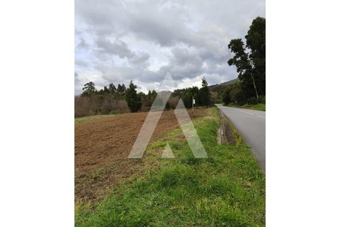 Helårsgrund i Caminha, Viana do Castelo, Caminha - € 25.000 | Ref: 1350156/25VC - foto 2