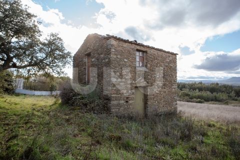 Helårsgrund i Castelo Branco, Castelo Branco, Castelo Branco - € 29.500 | Ref: UNU.I.1927.12555 - foto 3