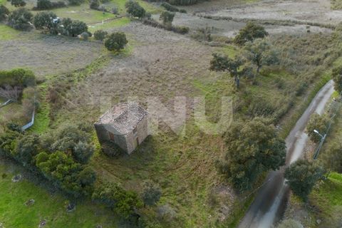 Helårsgrund i Castelo Branco, Castelo Branco, Castelo Branco - € 29.500 | Ref: UNU.I.1927.12555 - foto 5