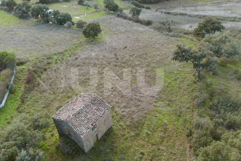 Helårsgrund i Castelo Branco, Castelo Branco, Castelo Branco - € 29.500 | Ref: UNU.I.1927.12555 - foto 2