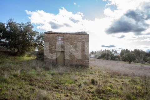 Helårsgrund i Castelo Branco, Castelo Branco, Castelo Branco - € 29.500 | Ref: UNU.I.1927.12555 - foto 4