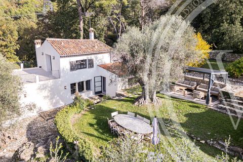 Villa a Mougins, Alpes-Maritimes, Mougins - € 10.000/mes | Ref: 83685018 - foto 4