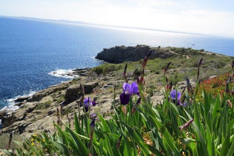 Lejlighed i Roses, Gerona, Roses - € 520.000 | Ref: es5553298 - foto 27