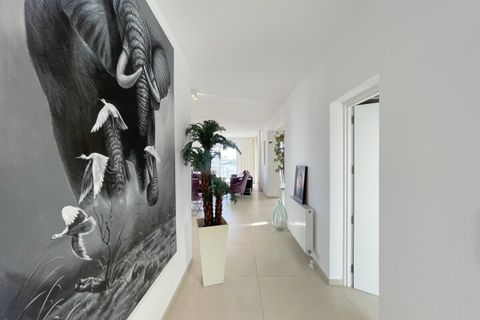 Villa a Palmanova, Mallorca, Palmanova - € 9.800/mes | Ref: SH-1483 - foto 15