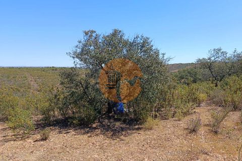 Helårsgrund i Castro Marim, Faro, Castro Marim - € 44.000 | Ref: SU-CS-TR-89639 - foto 1