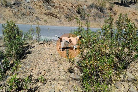 Helårsgrund i Castro Marim, Faro, Castro Marim - € 44.000 | Ref: SU-CS-TR-89639 - foto 3