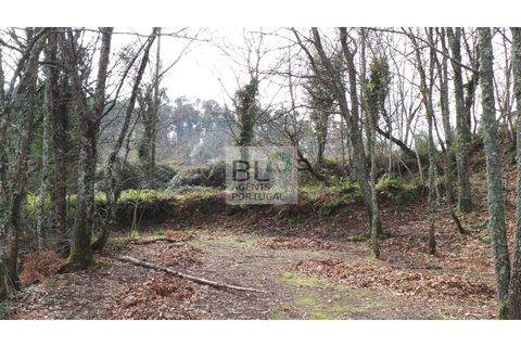 Helårsgrund i Gondomar, Porto, Gondomar - € 208.000 | Ref: SÒL_483 - foto 12