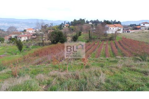 Helårsgrund i Gondomar, Porto, Gondomar - € 73.500 | Ref: SÒL_480 - foto 2
