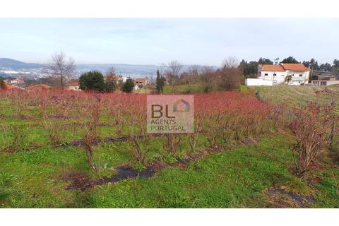 Helårsgrund i Gondomar, Porto, Gondomar - € 73.500 | Ref: SÒL_480 - foto 9