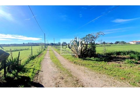Farm i Canaviais, Evora, Canaviais - € 650.000 | Ref: MAS_493 - foto 2