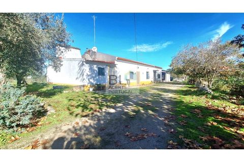 Farm i Canaviais, Evora, Canaviais - € 650.000 | Ref: MAS_493 - foto 4