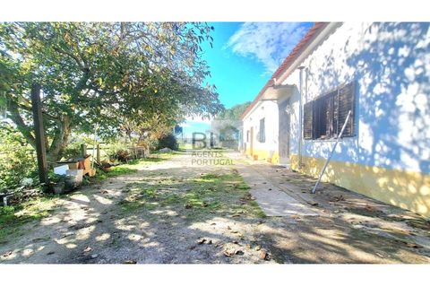 Farm i Canaviais, Evora, Canaviais - € 650.000 | Ref: MAS_493 - foto 3