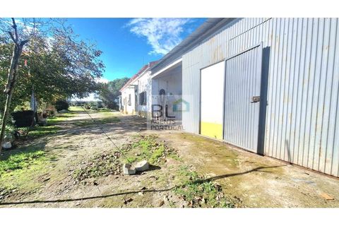 Farm i Canaviais, Evora, Canaviais - € 650.000 | Ref: MAS_493 - foto 5