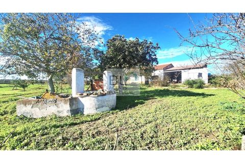 Farm i Canaviais, Evora, Canaviais - € 650.000 | Ref: MAS_493 - foto 6