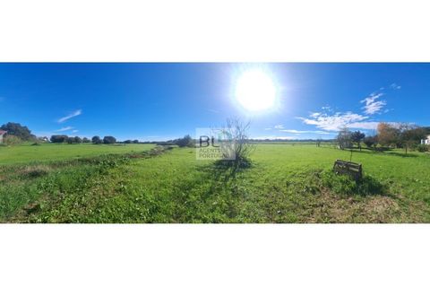 Farm i Canaviais, Evora, Canaviais - € 650.000 | Ref: MAS_493 - foto 9
