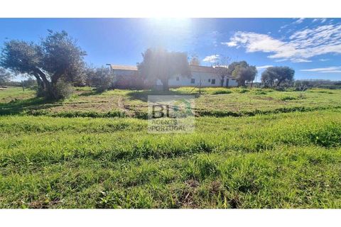 Farm i Canaviais, Evora, Canaviais - € 650.000 | Ref: MAS_493 - foto 10