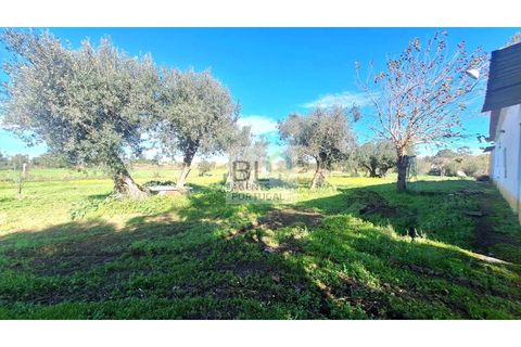 Farm i Canaviais, Evora, Canaviais - € 650.000 | Ref: MAS_493 - foto 11