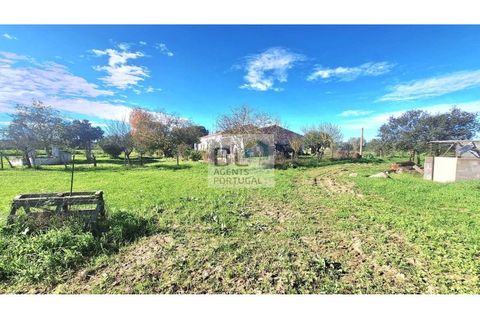 Farm i Canaviais, Evora, Canaviais - € 650.000 | Ref: MAS_493 - foto 12