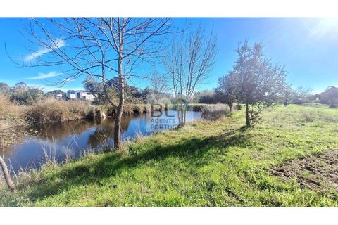 Farm i Canaviais, Evora, Canaviais - € 650.000 | Ref: MAS_493 - foto 15