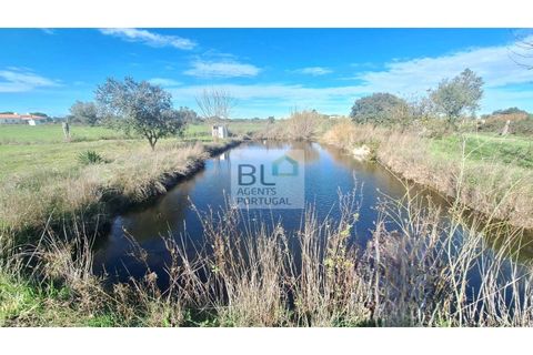 Farm i Canaviais, Evora, Canaviais - € 650.000 | Ref: MAS_493 - foto 16
