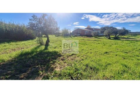 Farm i Canaviais, Evora, Canaviais - € 650.000 | Ref: MAS_493 - foto 17