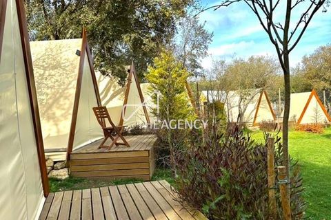 Helårsgrund i Sintra, Lisbon, Sintra - € 2.625.000 | Ref: TAPT01-1124_TG - foto 2