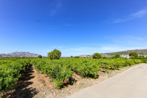 Helårsgrund i Orba, Alicante, Orba - € 170.000 | Ref: 001569 - foto 2